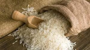 Rice Farming Feasibility Business Study Plan PDF Free Download